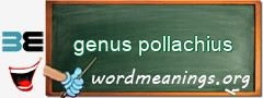 WordMeaning blackboard for genus pollachius